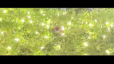 独りの日 Ft.重音テト