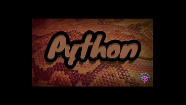 Python S5